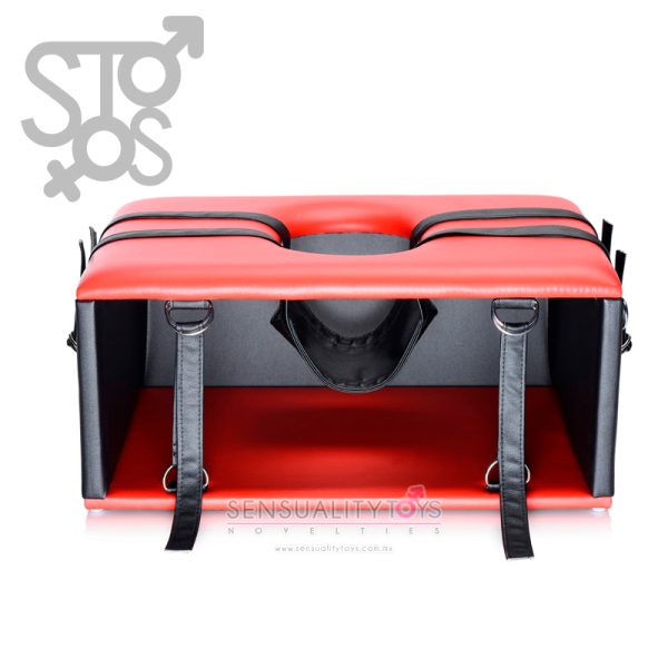 AG535 MASTER SERIES - QUEENING CHAIR - Imagen 2